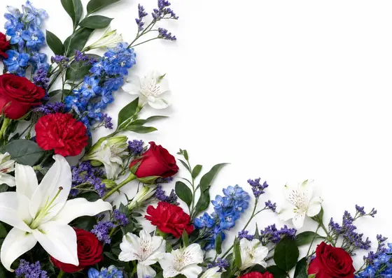   Independence Day Flowers & Collection