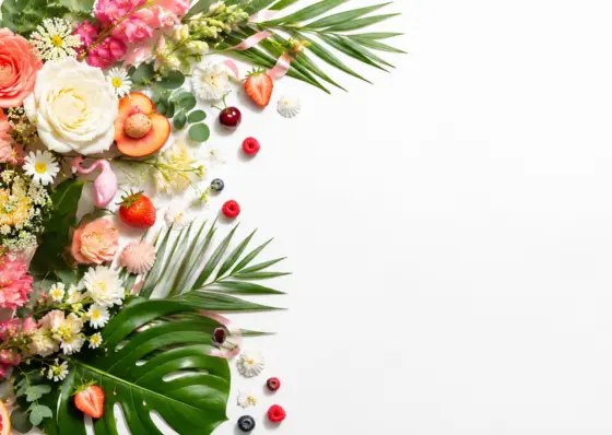 Summer Flowers & Collection